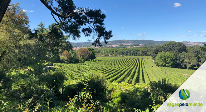 Quinta da Aveleda