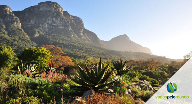 Kirstenbosch National Botanical Garden